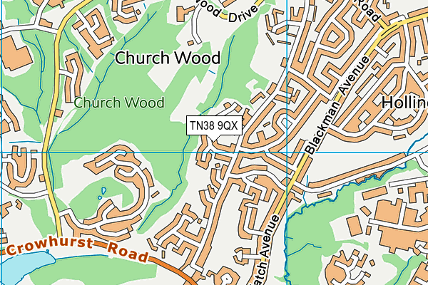 TN38 9QX map - OS VectorMap District (Ordnance Survey) TN38 9QX map - OS VectorMap District (Ordnance Survey)