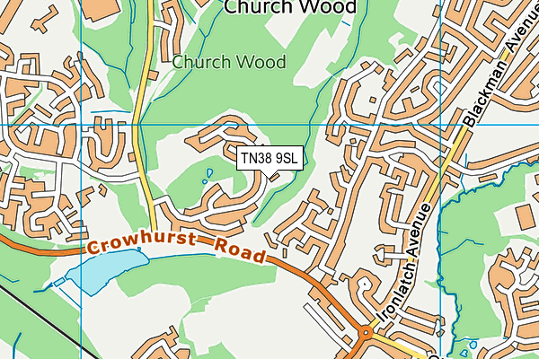 TN38 9SL map - OS VectorMap District (Ordnance Survey)