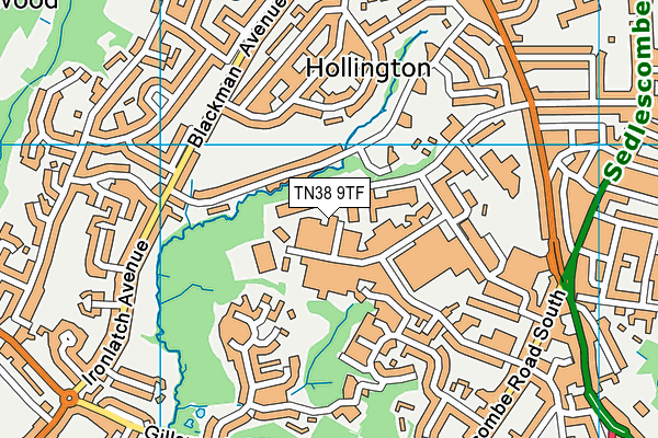 TN38 9TF map - OS VectorMap District (Ordnance Survey) TN38 9TF map - OS VectorMap District (Ordnance Survey)