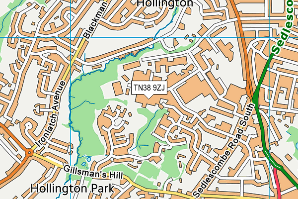 TN38 9ZJ map - OS VectorMap District (Ordnance Survey) TN38 9ZJ map - OS VectorMap District (Ordnance Survey)