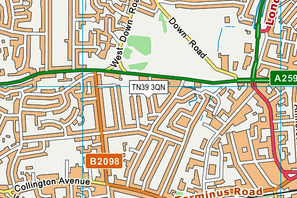 TN39 3QN map - OS VectorMap District (Ordnance Survey) TN39 3QN map - OS VectorMap District (Ordnance Survey)