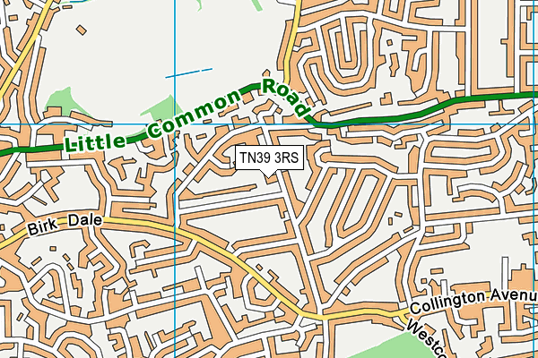 TN39 3RS map - OS VectorMap District (Ordnance Survey) TN39 3RS map - OS VectorMap District (Ordnance Survey)