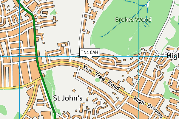 TN4 0AH map - OS VectorMap District (Ordnance Survey) TN4 0AH map - OS VectorMap District (Ordnance Survey)