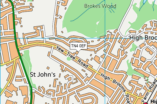 TN4 0EF map - OS VectorMap District (Ordnance Survey) TN4 0EF map - OS VectorMap District (Ordnance Survey)