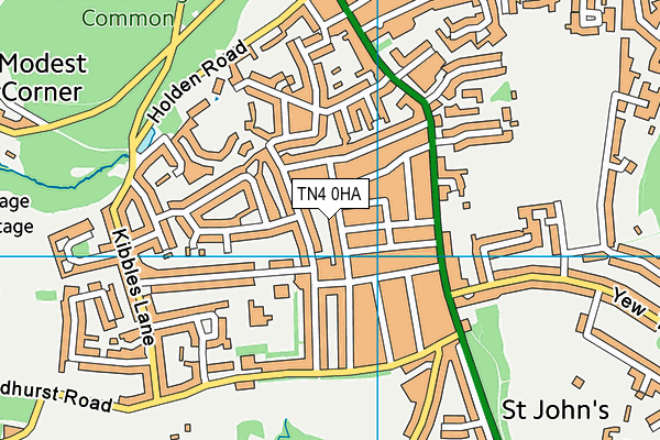 TN4 0HA map - OS VectorMap District (Ordnance Survey)