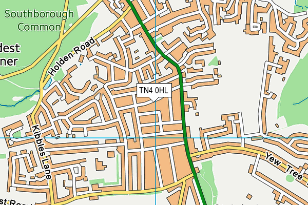 TN4 0HL map - OS VectorMap District (Ordnance Survey) TN4 0HL map - OS VectorMap District (Ordnance Survey)