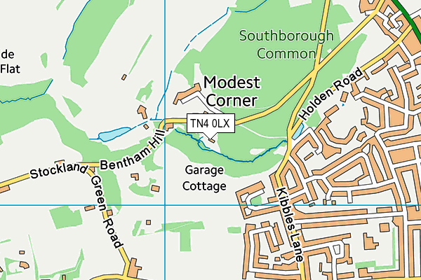 TN4 0LX map - OS VectorMap District (Ordnance Survey) TN4 0LX map - OS VectorMap District (Ordnance Survey)