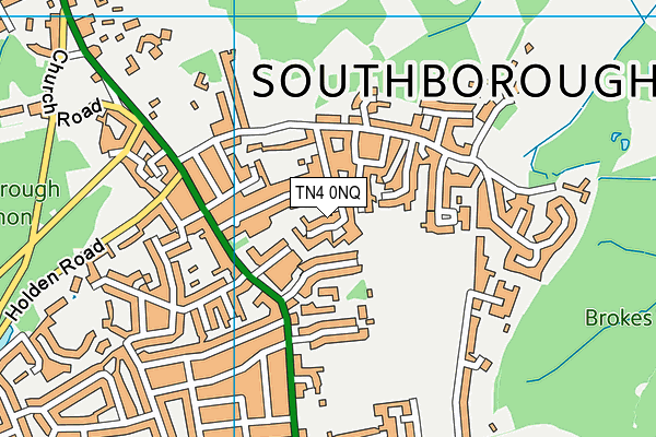 TN4 0NQ map - OS VectorMap District (Ordnance Survey) TN4 0NQ map - OS VectorMap District (Ordnance Survey)