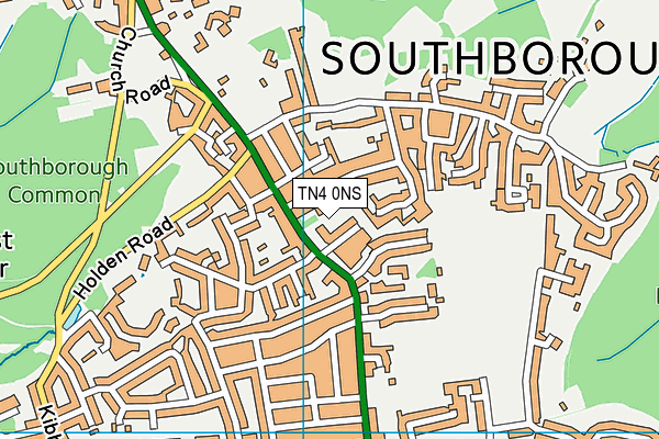 TN4 0NS map - OS VectorMap District (Ordnance Survey) TN4 0NS map - OS VectorMap District (Ordnance Survey)