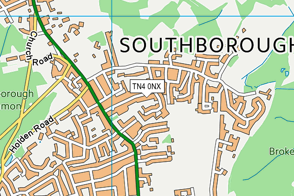 TN4 0NX map - OS VectorMap District (Ordnance Survey) TN4 0NX map - OS VectorMap District (Ordnance Survey)
