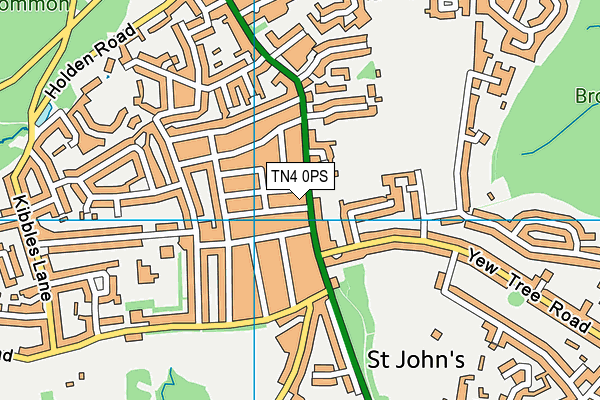 TN4 0PS map - OS VectorMap District (Ordnance Survey) TN4 0PS map - OS VectorMap District (Ordnance Survey)