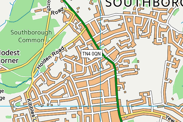 TN4 0QN map - OS VectorMap District (Ordnance Survey) TN4 0QN map - OS VectorMap District (Ordnance Survey)