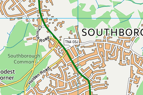 TN4 0SJ map - OS VectorMap District (Ordnance Survey) TN4 0SJ map - OS VectorMap District (Ordnance Survey)