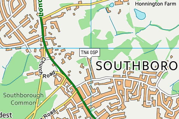 TN4 0SP map - OS VectorMap District (Ordnance Survey) TN4 0SP map - OS VectorMap District (Ordnance Survey)