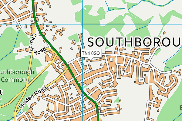 TN4 0SQ map - OS VectorMap District (Ordnance Survey) TN4 0SQ map - OS VectorMap District (Ordnance Survey)