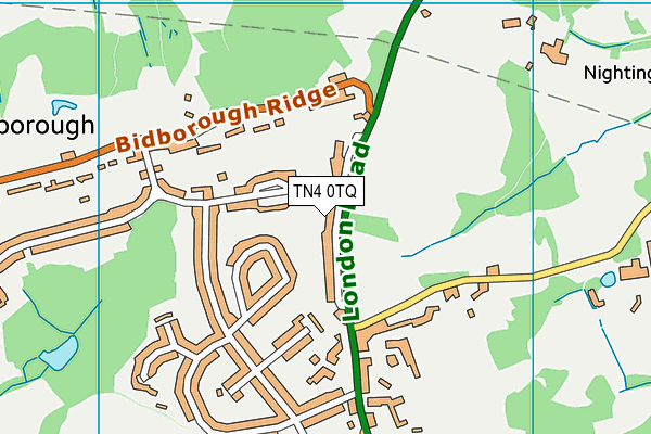 TN4 0TQ map - OS VectorMap District (Ordnance Survey) TN4 0TQ map - OS VectorMap District (Ordnance Survey)