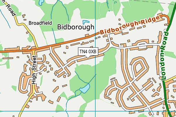 TN4 0XB map - OS VectorMap District (Ordnance Survey) TN4 0XB map - OS VectorMap District (Ordnance Survey)