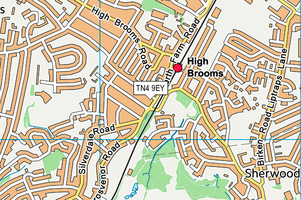 TN4 9EY map - OS VectorMap District (Ordnance Survey) TN4 9EY map - OS VectorMap District (Ordnance Survey)