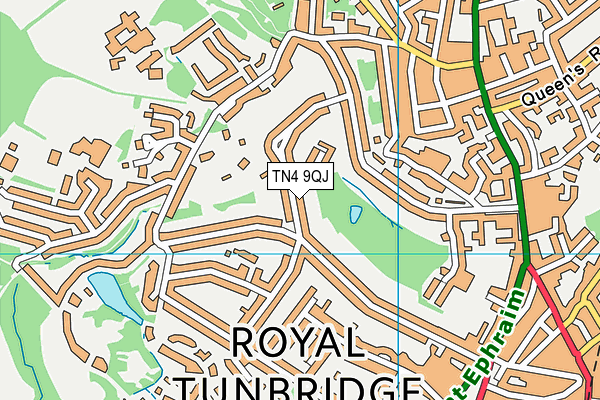 TN4 9QJ map - OS VectorMap District (Ordnance Survey) TN4 9QJ map - OS VectorMap District (Ordnance Survey)