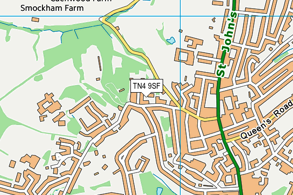 TN4 9SF map - OS VectorMap District (Ordnance Survey) TN4 9SF map - OS VectorMap District (Ordnance Survey)