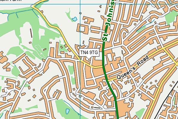 TN4 9TG map - OS VectorMap District (Ordnance Survey) TN4 9TG map - OS VectorMap District (Ordnance Survey)