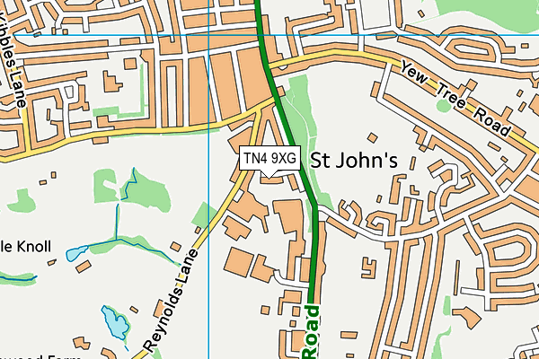 TN4 9XG map - OS VectorMap District (Ordnance Survey) TN4 9XG map - OS VectorMap District (Ordnance Survey)