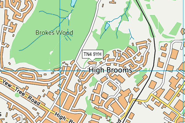 TN4 9YH map - OS VectorMap District (Ordnance Survey) TN4 9YH map - OS VectorMap District (Ordnance Survey)