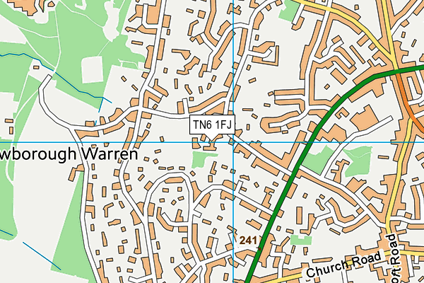 TN6 1FJ map - OS VectorMap District (Ordnance Survey) TN6 1FJ map - OS VectorMap District (Ordnance Survey)