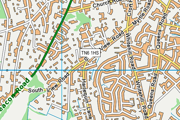 TN6 1HS map - OS VectorMap District (Ordnance Survey) TN6 1HS map - OS VectorMap District (Ordnance Survey)