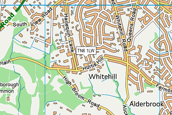 TN6 1LW map - OS VectorMap District (Ordnance Survey) TN6 1LW map - OS VectorMap District (Ordnance Survey)