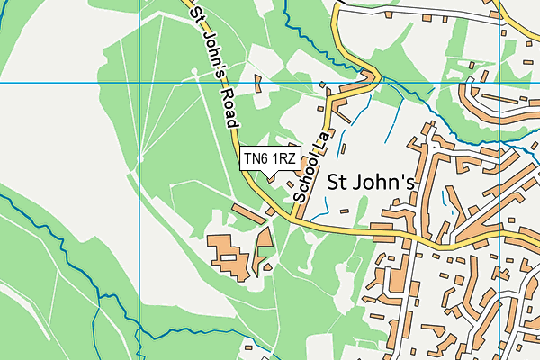 TN6 1RZ map - OS VectorMap District (Ordnance Survey) TN6 1RZ map - OS VectorMap District (Ordnance Survey)