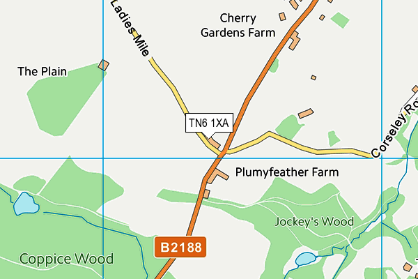 TN6 1XA map - OS VectorMap District (Ordnance Survey) TN6 1XA map - OS VectorMap District (Ordnance Survey)