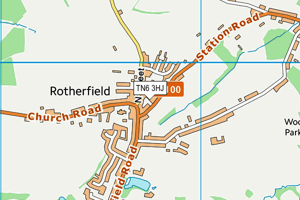 TN6 3HJ map - OS VectorMap District (Ordnance Survey) TN6 3HJ map - OS VectorMap District (Ordnance Survey)