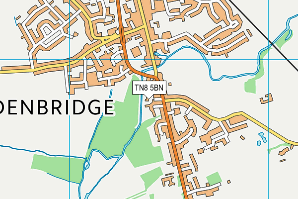 TN8 5BN map - OS VectorMap District (Ordnance Survey) TN8 5BN map - OS VectorMap District (Ordnance Survey)