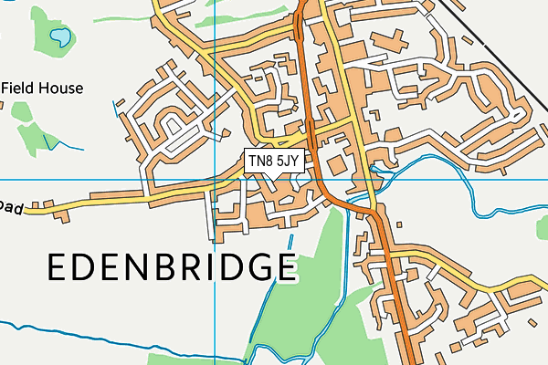 TN8 5JY map - OS VectorMap District (Ordnance Survey) TN8 5JY map - OS VectorMap District (Ordnance Survey)