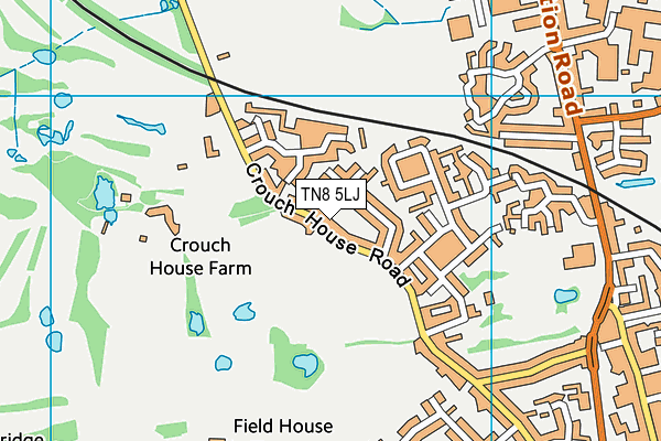 TN8 5LJ map - OS VectorMap District (Ordnance Survey) TN8 5LJ map - OS VectorMap District (Ordnance Survey)
