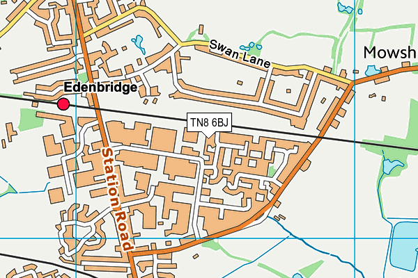 TN8 6BJ map - OS VectorMap District (Ordnance Survey) TN8 6BJ map - OS VectorMap District (Ordnance Survey)