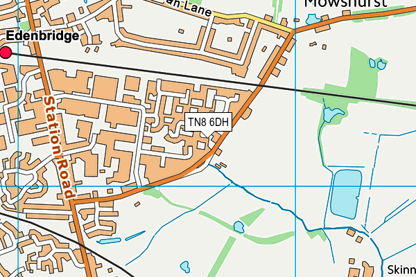 TN8 6DH map - OS VectorMap District (Ordnance Survey) TN8 6DH map - OS VectorMap District (Ordnance Survey)