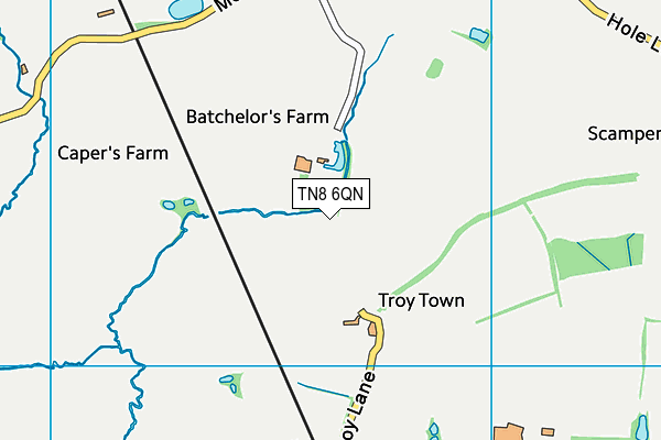 TN8 6QN map - OS VectorMap District (Ordnance Survey) TN8 6QN map - OS VectorMap District (Ordnance Survey)