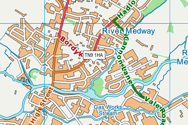 TN9 1HA map - OS VectorMap District (Ordnance Survey) TN9 1HA map - OS VectorMap District (Ordnance Survey)