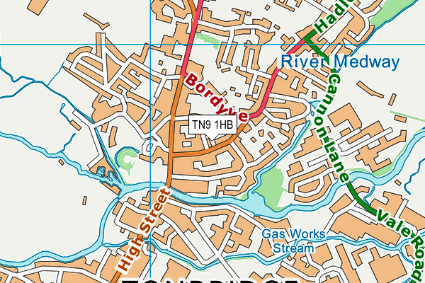 TN9 1HB map - OS VectorMap District (Ordnance Survey) TN9 1HB map - OS VectorMap District (Ordnance Survey)