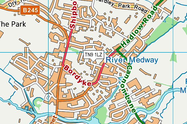 TN9 1LZ map - OS VectorMap District (Ordnance Survey) TN9 1LZ map - OS VectorMap District (Ordnance Survey)