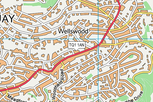 TQ1 1AN map - OS VectorMap District (Ordnance Survey) TQ1 1AN map - OS VectorMap District (Ordnance Survey)