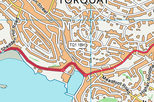 TQ1 1BH map - OS VectorMap District (Ordnance Survey)