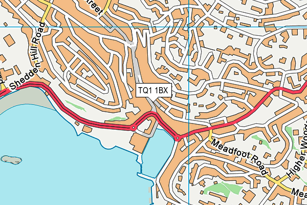 TQ1 1BX map - OS VectorMap District (Ordnance Survey) TQ1 1BX map - OS VectorMap District (Ordnance Survey)