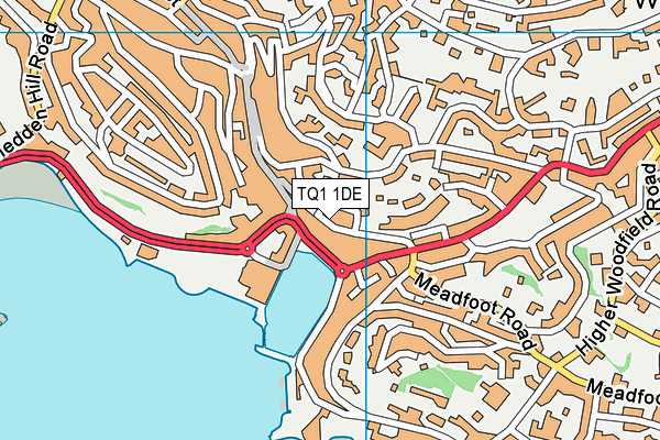TQ1 1DE map - OS VectorMap District (Ordnance Survey) TQ1 1DE map - OS VectorMap District (Ordnance Survey)