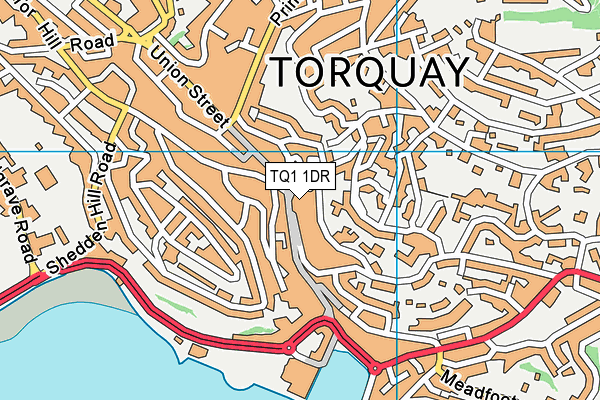 TQ1 1DR map - OS VectorMap District (Ordnance Survey) TQ1 1DR map - OS VectorMap District (Ordnance Survey)