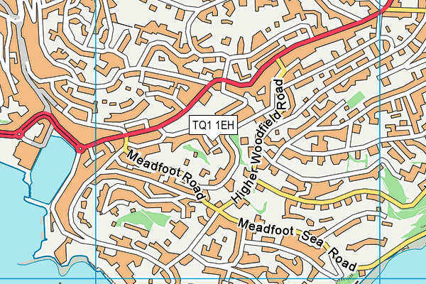 TQ1 1EH map - OS VectorMap District (Ordnance Survey) TQ1 1EH map - OS VectorMap District (Ordnance Survey)