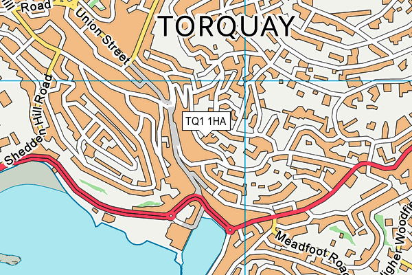 TQ1 1HA map - OS VectorMap District (Ordnance Survey) TQ1 1HA map - OS VectorMap District (Ordnance Survey)
