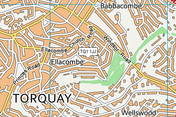 TQ1 1JJ map - OS VectorMap District (Ordnance Survey)